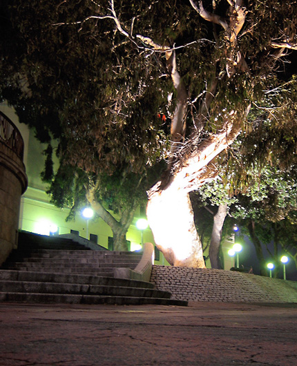 Garden Lighting