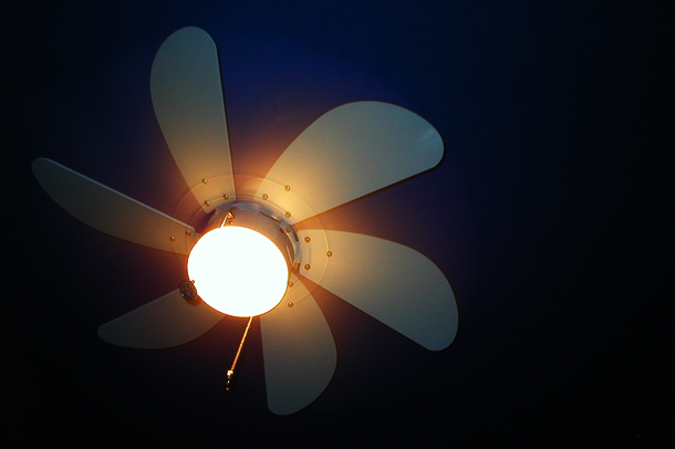 Ceiling Fan With Light