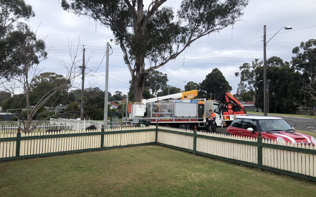 Timber Pole Replacement – Camben